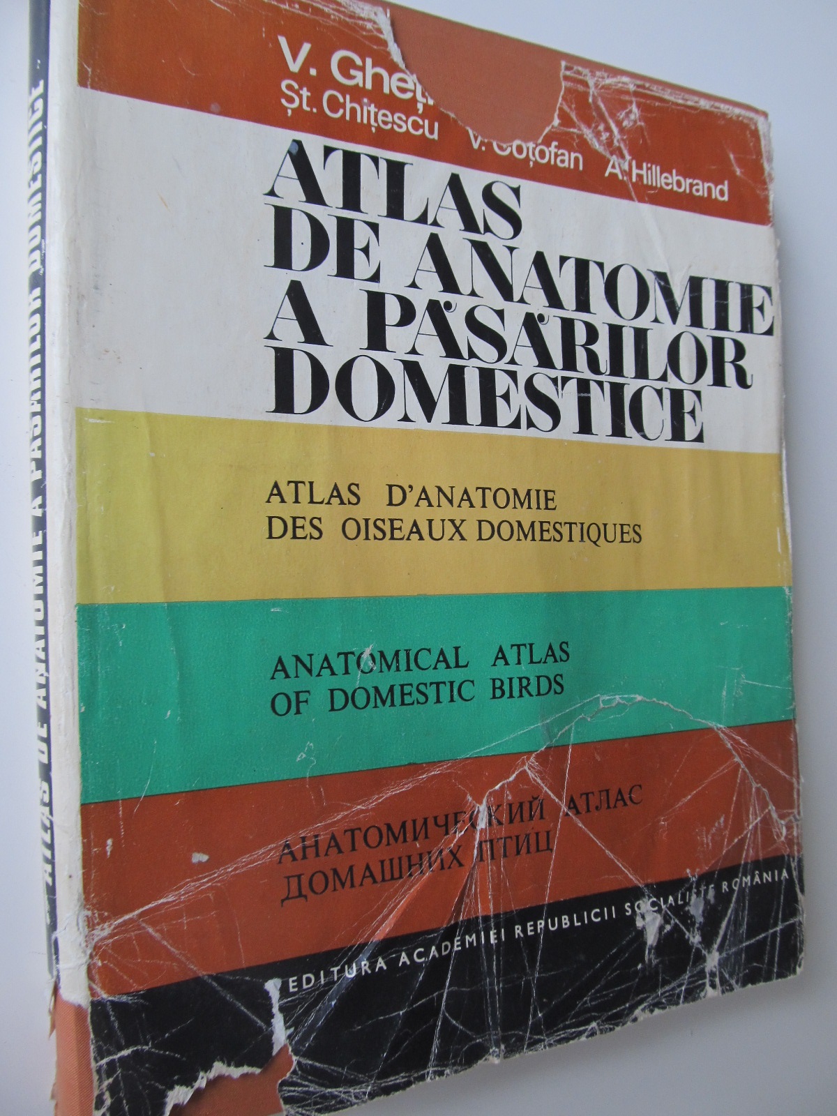 Atlas de anatomie a pasarilor domestice - V. Ghetie , St. Chitescu , V. Cotofan , A. Hillebrand | Detalii carte