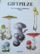 Giftpilze (Album mare ciuperci otravitoare) -220 imagini color - J. Baier , B. Vancura | Detalii carte