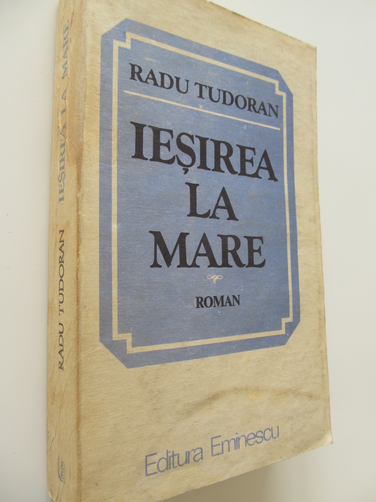 Iesirea la mare - Radu Tudoran | Detalii carte