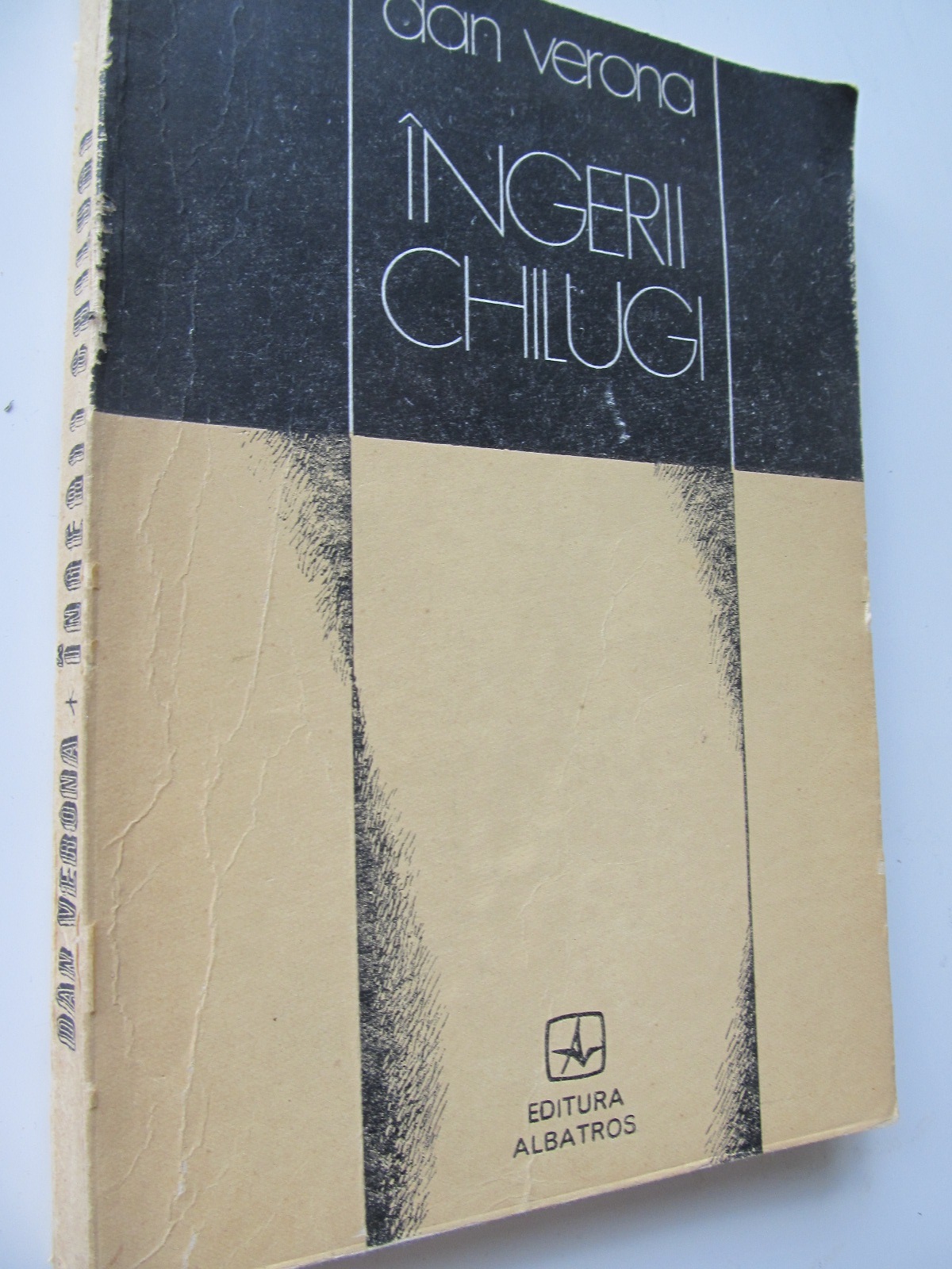 Ingerii chilugi - Dan Verona | Detalii carte