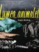Lumea animalelor - Brehhm | Detalii carte