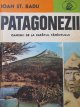 Patagonezii - Ioan St. Radu | Detalii carte