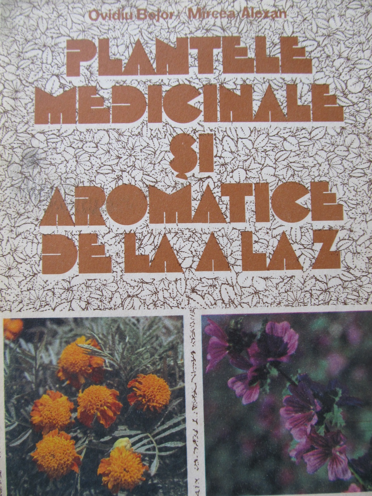 Carte Plantele medicinale si aromatice de la A la Z - Ovidiu Bojor , Mircea Alexan