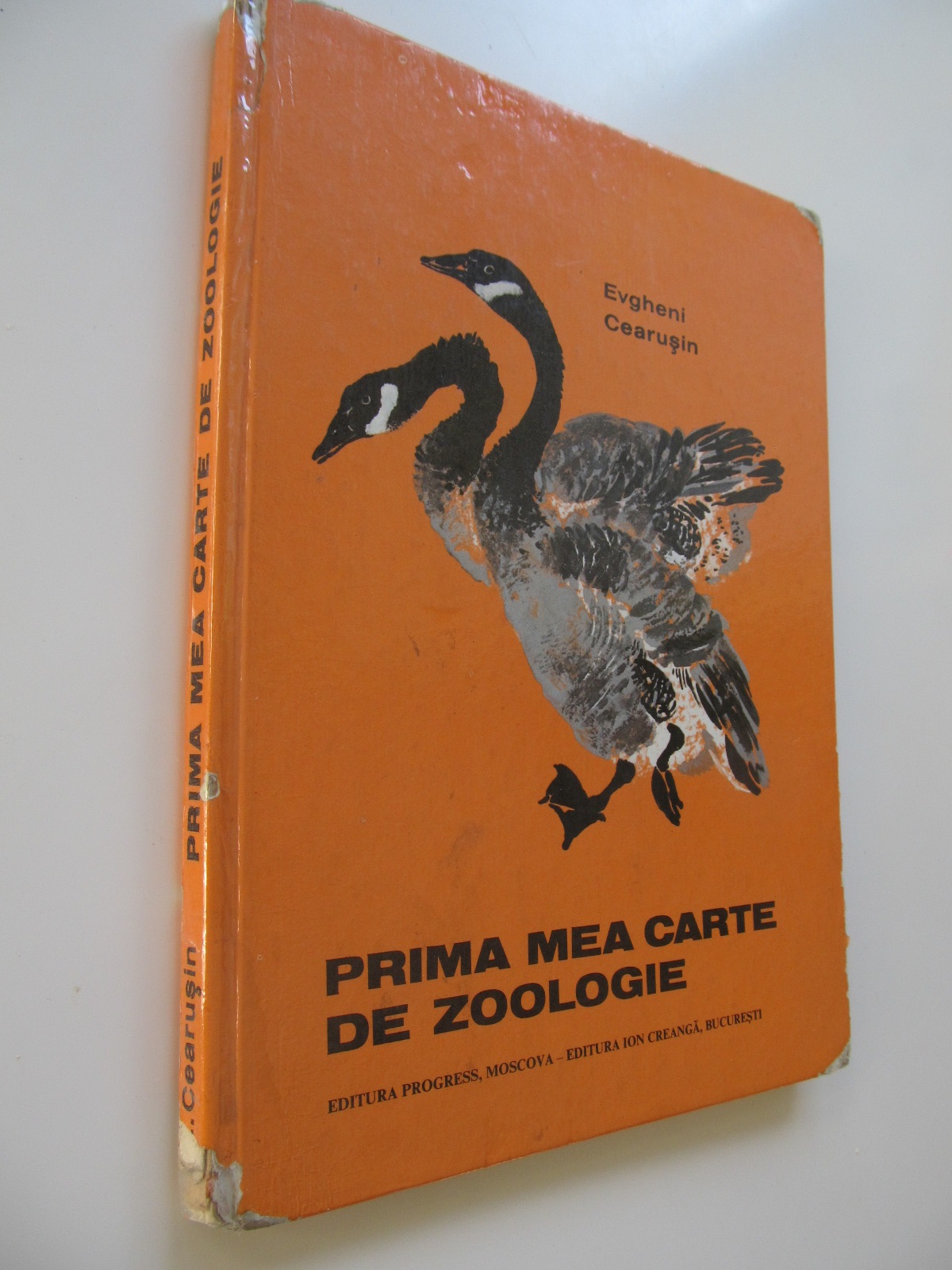 Prima mea carte de zoologie - Evgheni Cearusin | Detalii carte