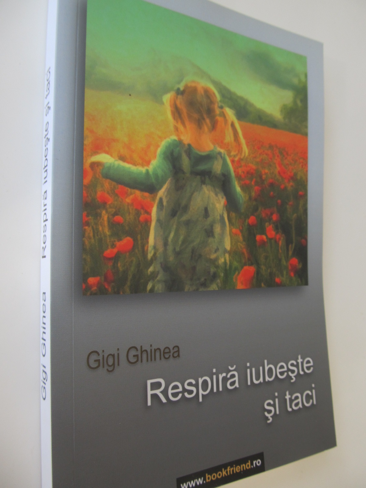 Respira , iubeste si taci - Gigi Ghinea | Detalii carte