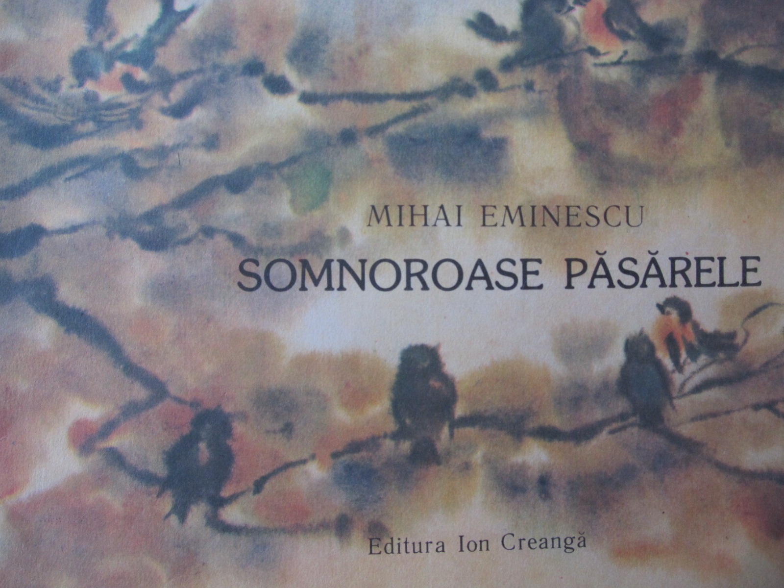 Somnoroase pasarele - Mihai Eminescu | Detalii carte