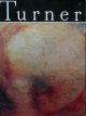 Turner - Vasile Nicolescu | Detalii carte