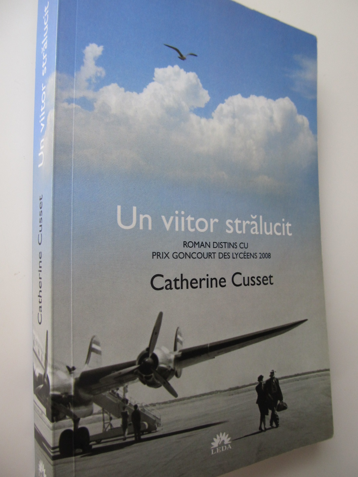 Un viitor stralucit - Catherine Cusset | Detalii carte