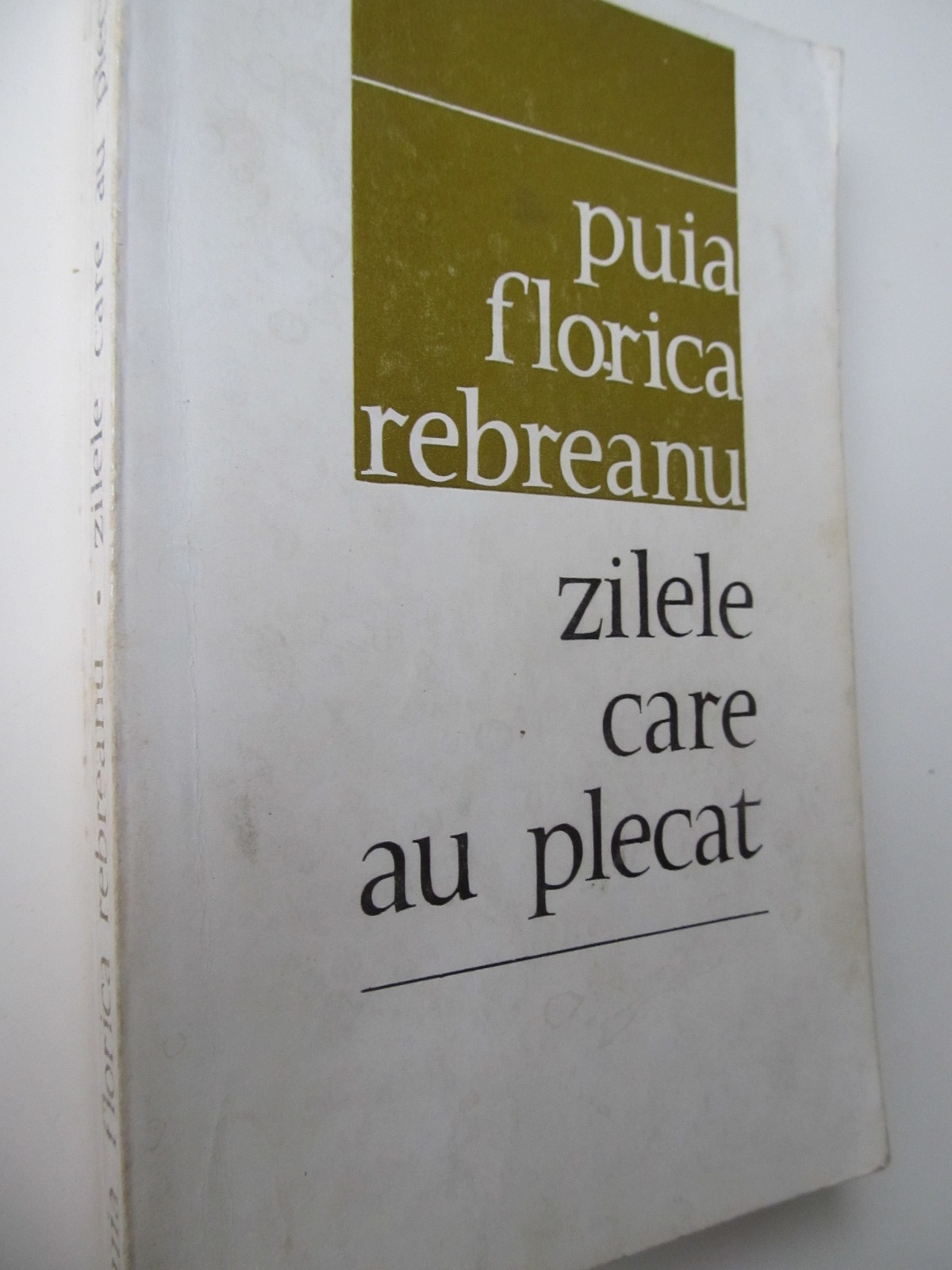 Zilele care au plecat - Puia Florica Rebreanu | Detalii carte