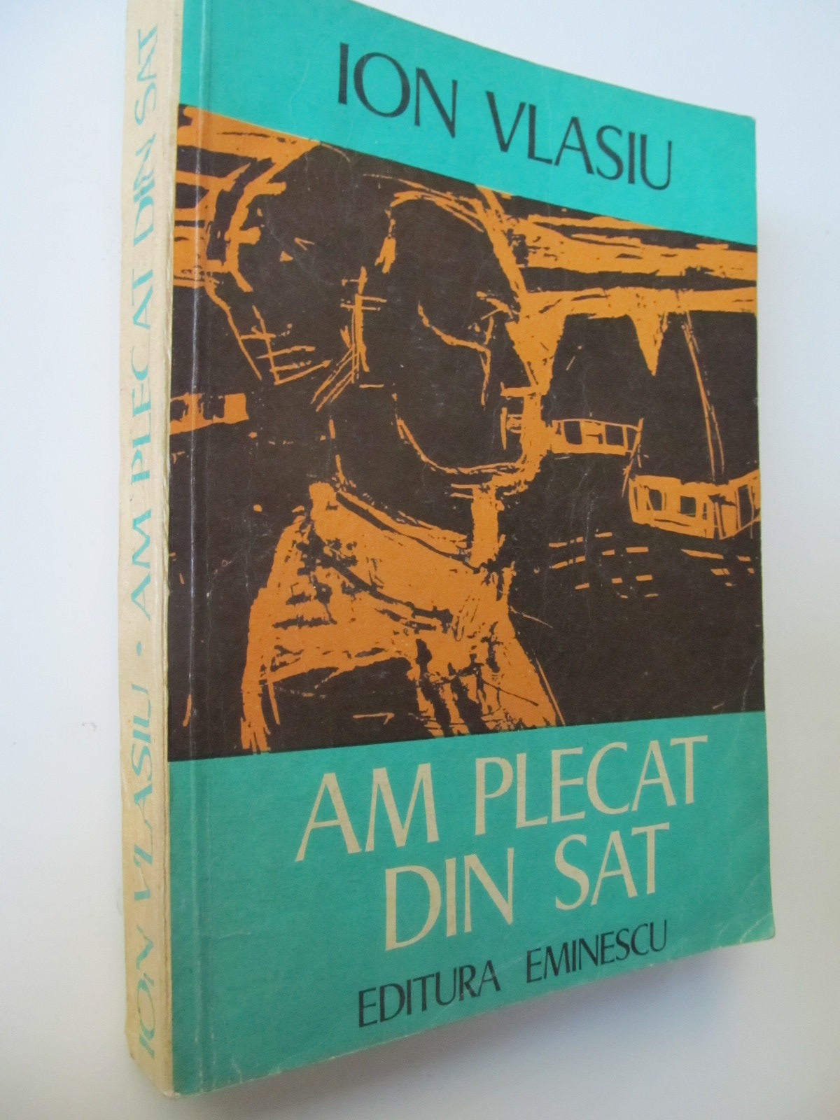 Am plecat din sat - Ion Vlasiu | Detalii carte