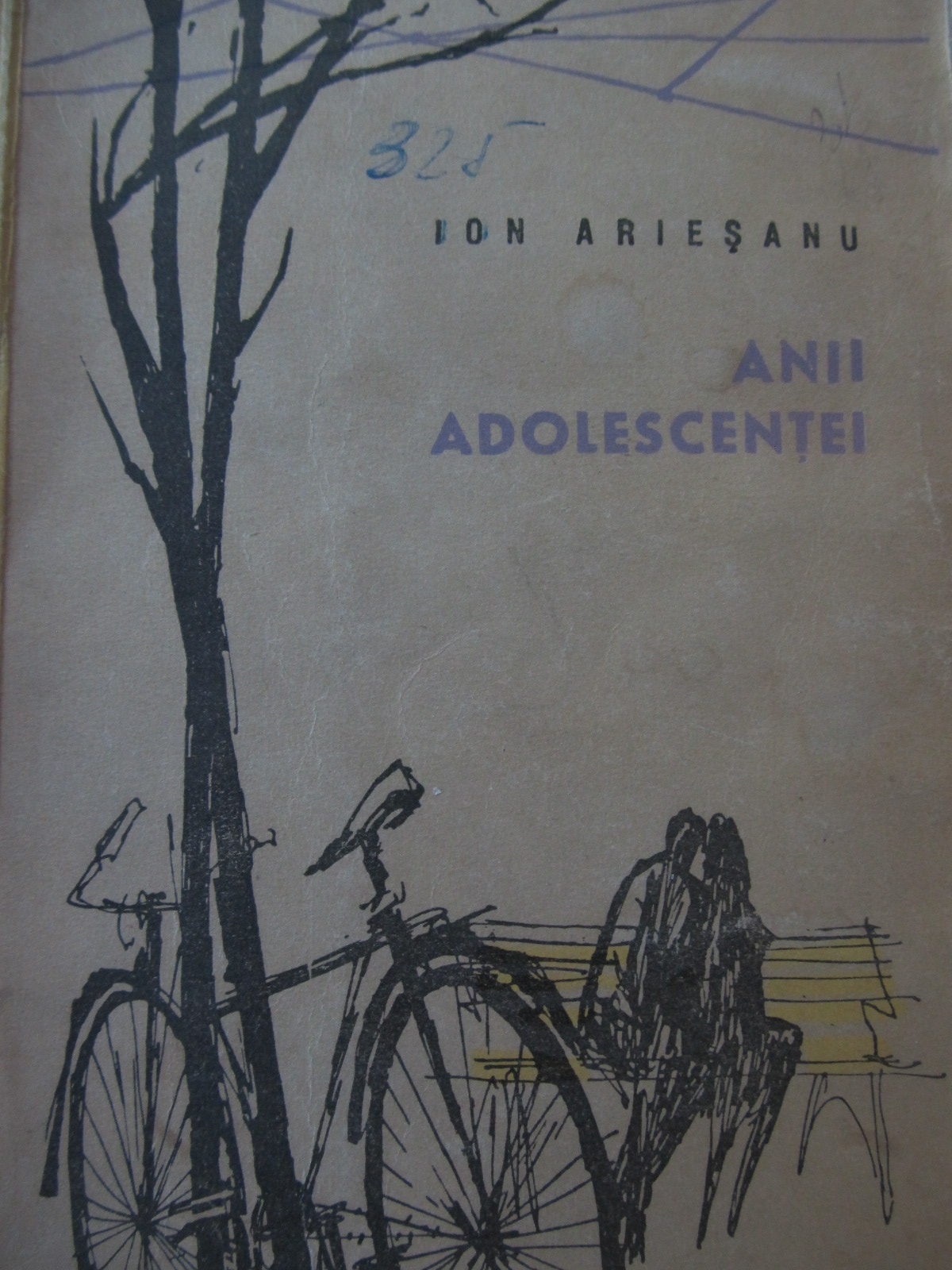Anii adolescentei - Ion Ariesanu | Detalii carte