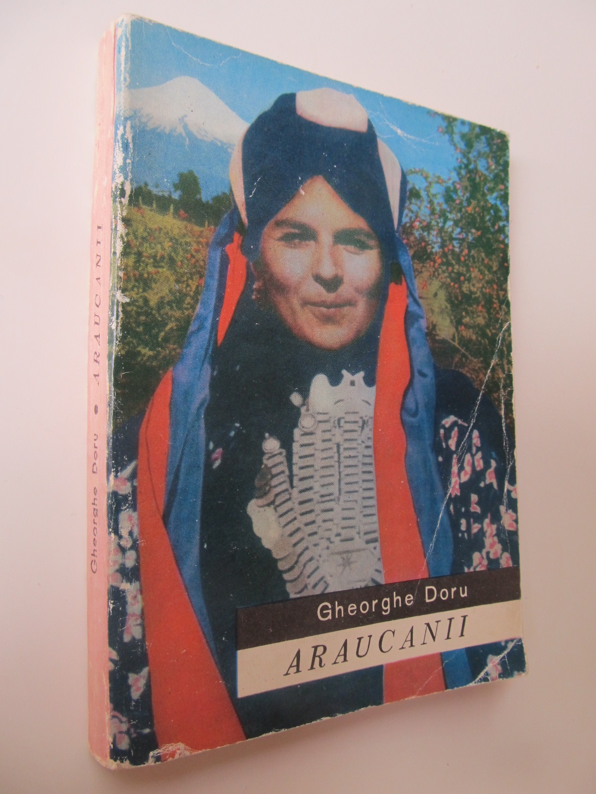 Araucanii - Gheorghe Doru | Detalii carte
