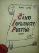 Cand infloreste pustiul - Norah Lofts | Detalii carte