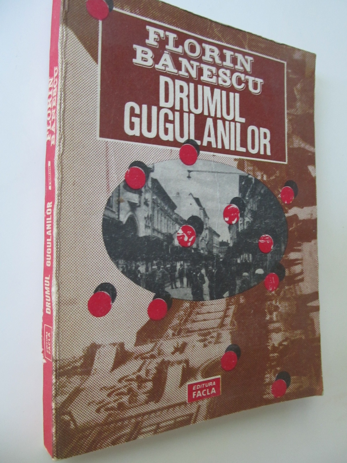Drumul gugulanilor - Florin Banescu | Detalii carte