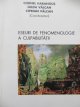 Eseuri de fenomenologie a culpabilitatii - Cornel Harangus , Gilda Valcan , Ciprian Valcan | Detalii carte