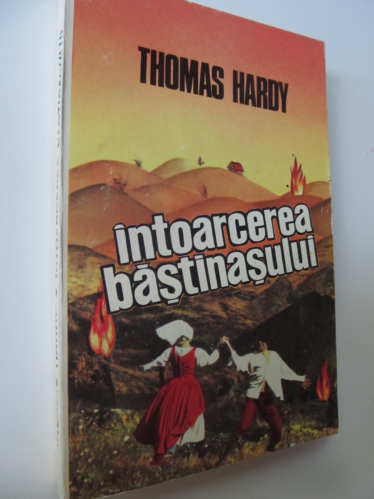 Intoarcerea bastinasului - Thomas Hardy | Detalii carte