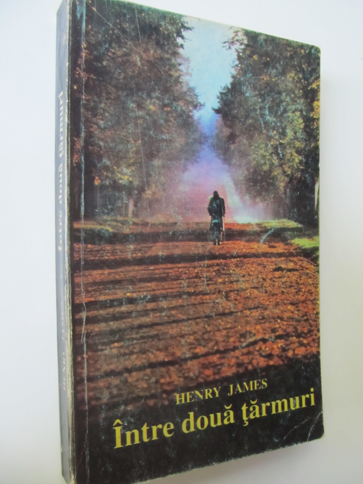 Intre doua tarmuri - Henry James | Detalii carte