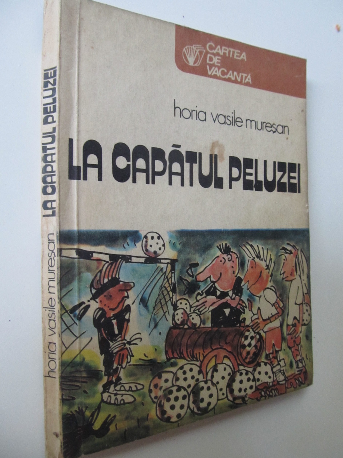 La capatul peluzei - Horia Vasile Muresan | Detalii carte