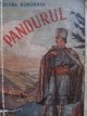 Pandurul - Bucura Dumbrava | Detalii carte