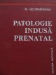 Patologie indusa prenatal - M. Geormaneanu | Detalii carte
