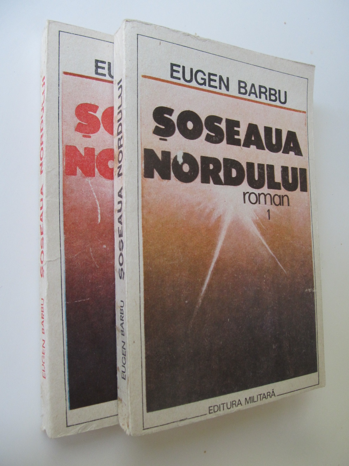 Soseaua nordului (2 vol.) - Eugen Barbu | Detalii carte