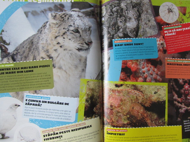 Carte Animale uimitoare - Infatisari extreme - Csaba Tamas Toth