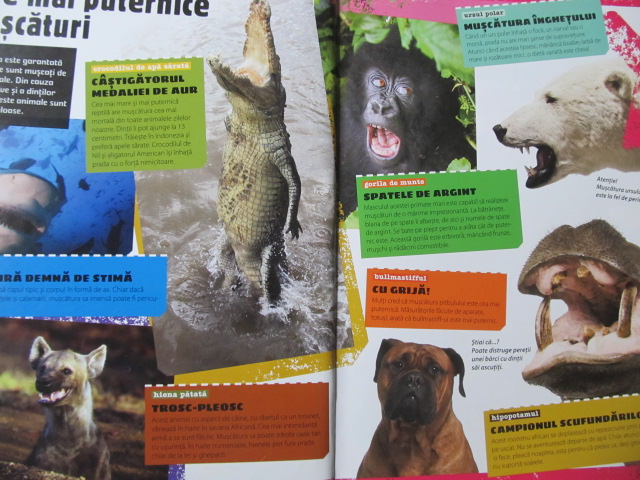 Carte Animale uimitoare - Recorduri extreme - Csaba Tamas Toth