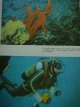Carte Cuceritori ai adancurilor - Jaques Yves Cousteau - Alexandru Marinescu