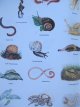 Carte Das Stickwer Buch - Tiere - 240 Farbsticker (240 actibilduri cu animale) - ***
