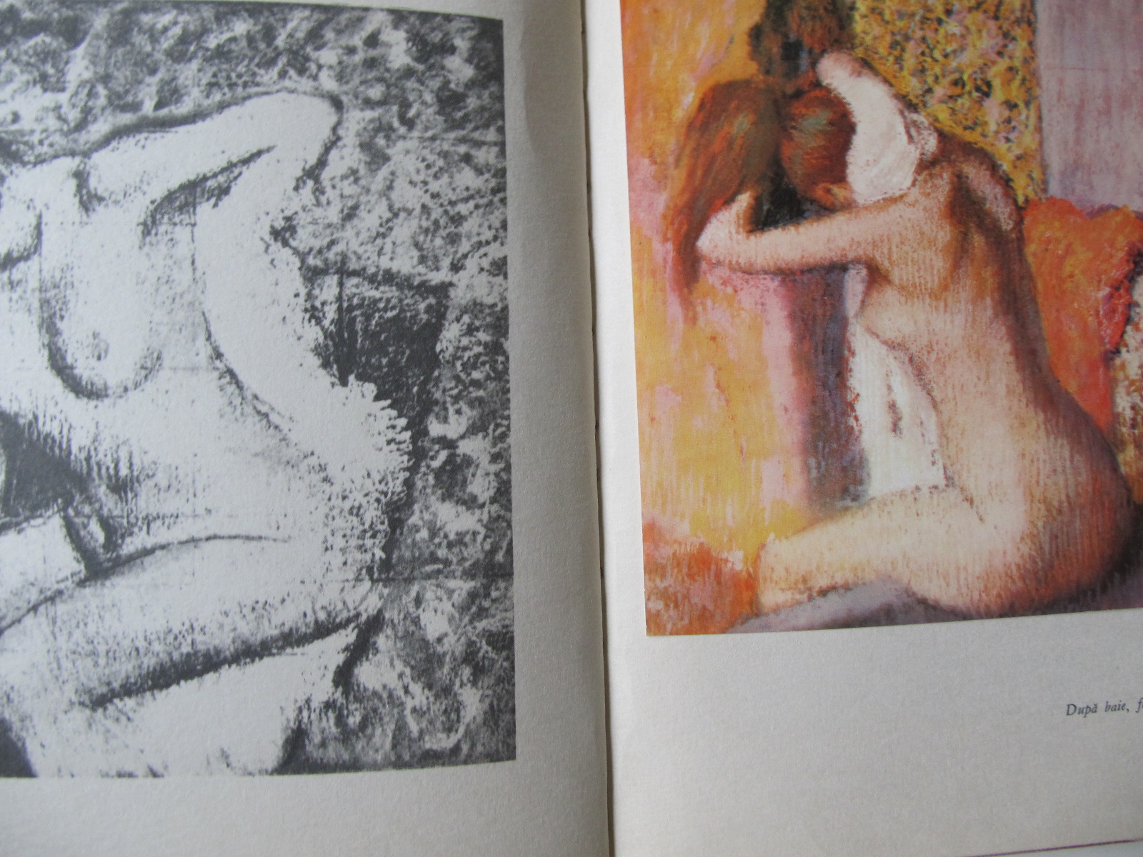 Carte Degas (Album) - Ioan Horga