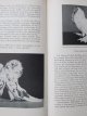 Carte Die Welt der Tauben (Lumea porumbeilor - Enciclopedie) , 1956 - superba - Edmund Zurth
