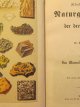 Carte Illustrierte Naturgeschichte (istoria ilustrata a naturii) - Das Mineral und Plantenreich , 1891 - Ewald Haufe