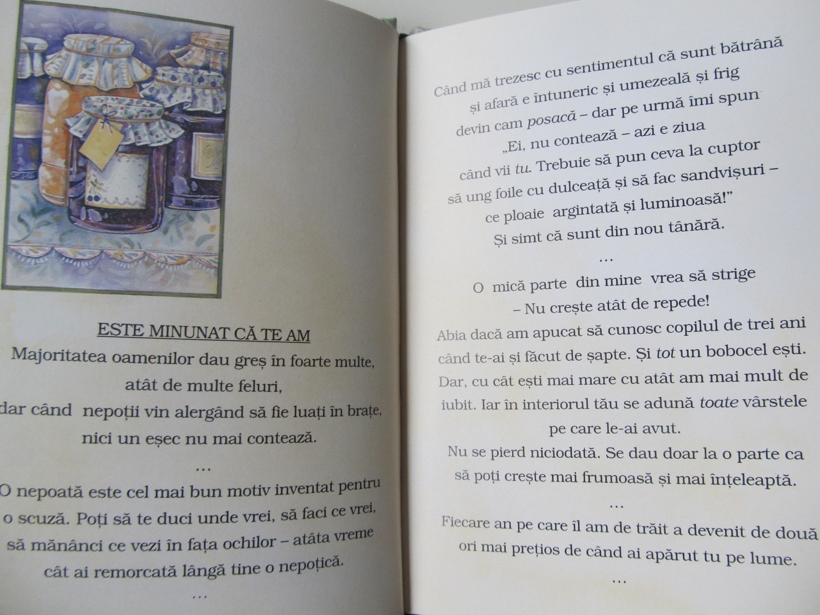 Carte Iubitei mele nepoate - ***
