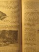 Carte Leitfaden der Tierkunde - fur die Oberen Klassen der Realgymnasien, 1919 (Ghid de zoologie) - Franz Werner