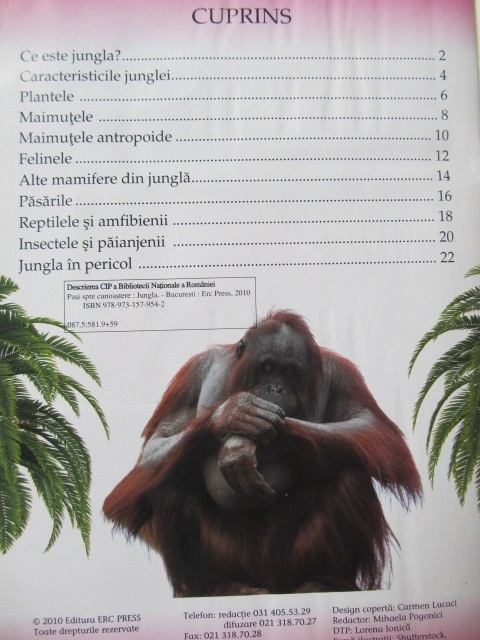 Carte Pasi spre cunoastere - Jungla - ***