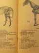 Carte Pferdefibel (rase de cai) , 1936 (136 imagini) - Horst Botticher
