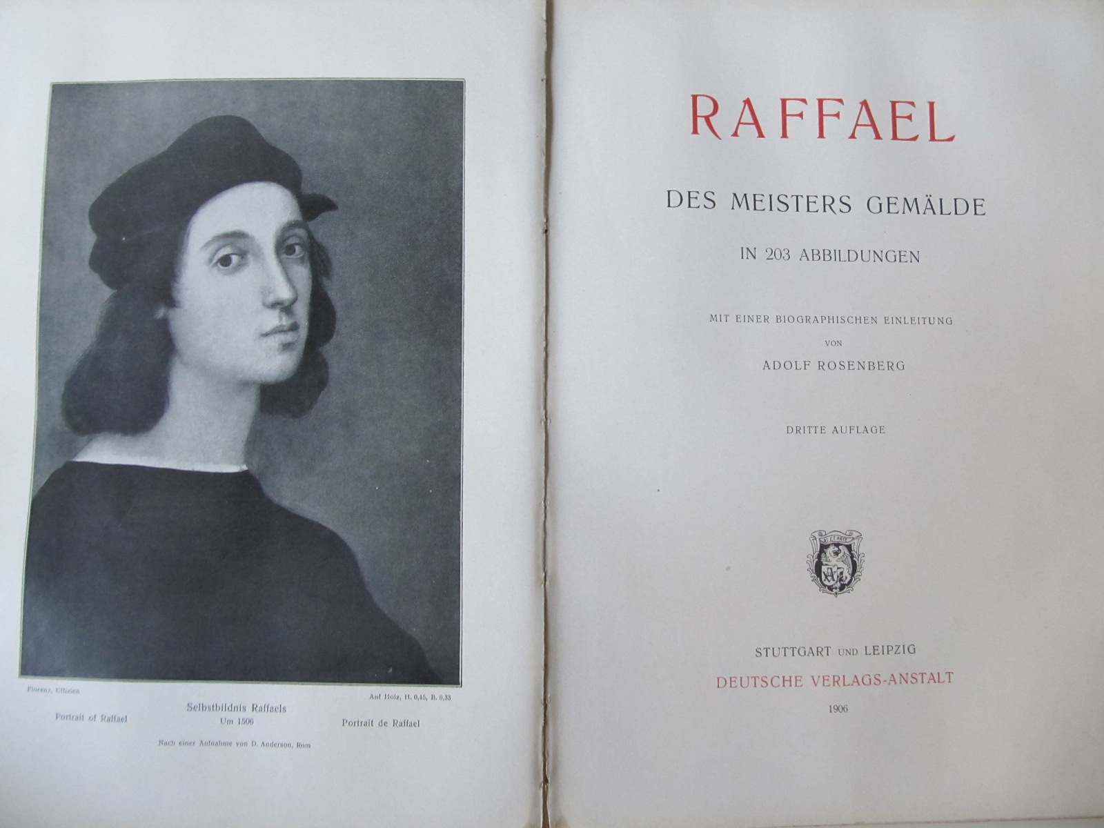 Carte Raffael  des Maisters Gemalde in 203 Abbildungen , 1906 - Adolf Rosenberg