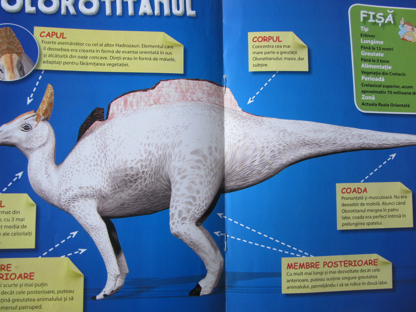 Carte Revista Dinozaurii Nr. 7/2013 - Olorotitan - ***