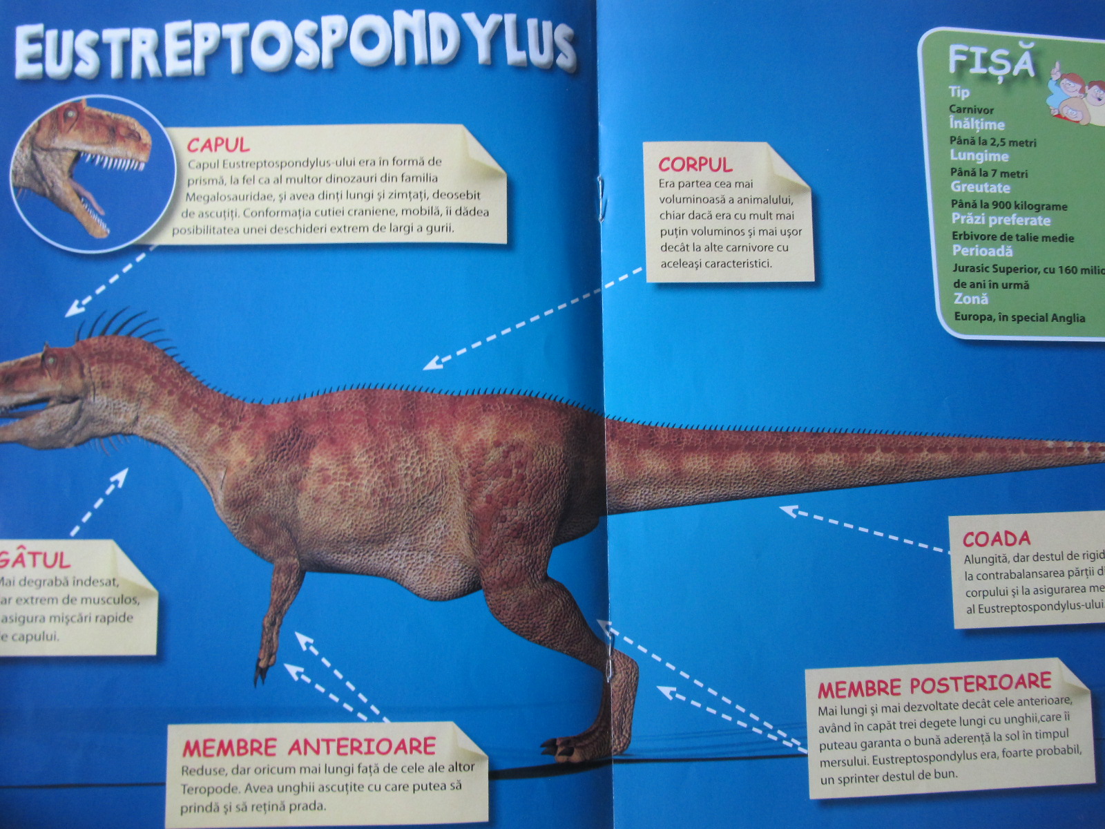 Carte Revista Dinozaurii Nr. 9/2013 -Eustreptospondylus - ***