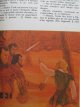 Carte Robin Hood (Robin des Bois) (ilustr. Iacob Dezideriu) - format foarte mare - Pierce Egan