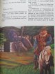 Carte Robin Hood (Robin des Bois) (ilustr. Iacob Dezideriu) - format foarte mare - Pierce Egan