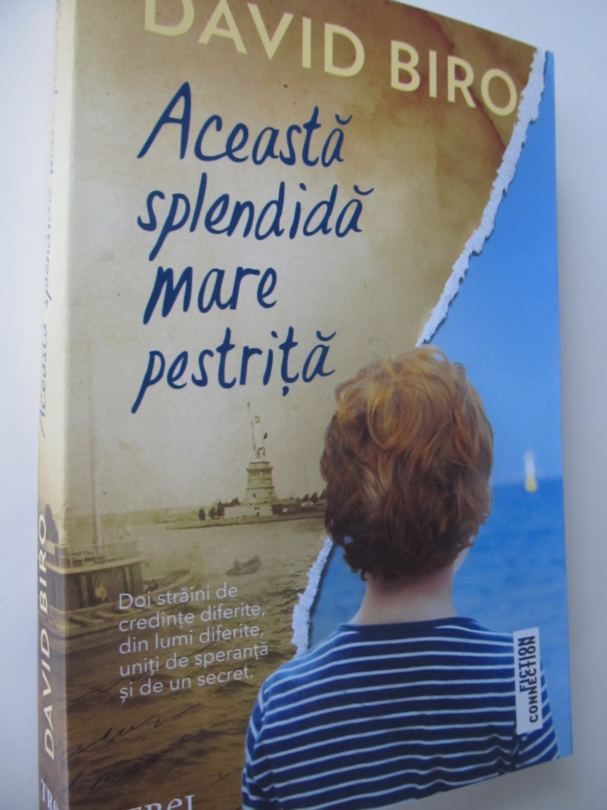 Aceasta splendida mare pestrita - David Biro | Detalii carte