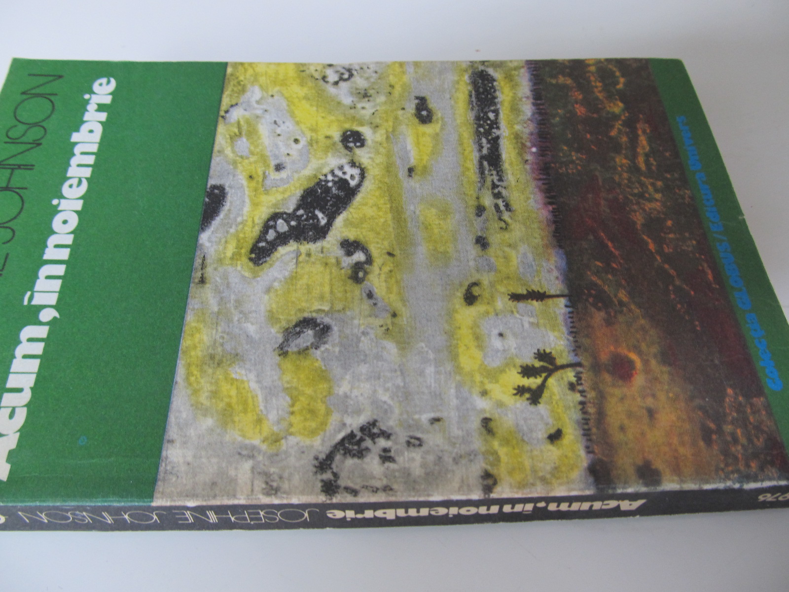 Acum in noiembrie - Josephine Johnson | Detalii carte