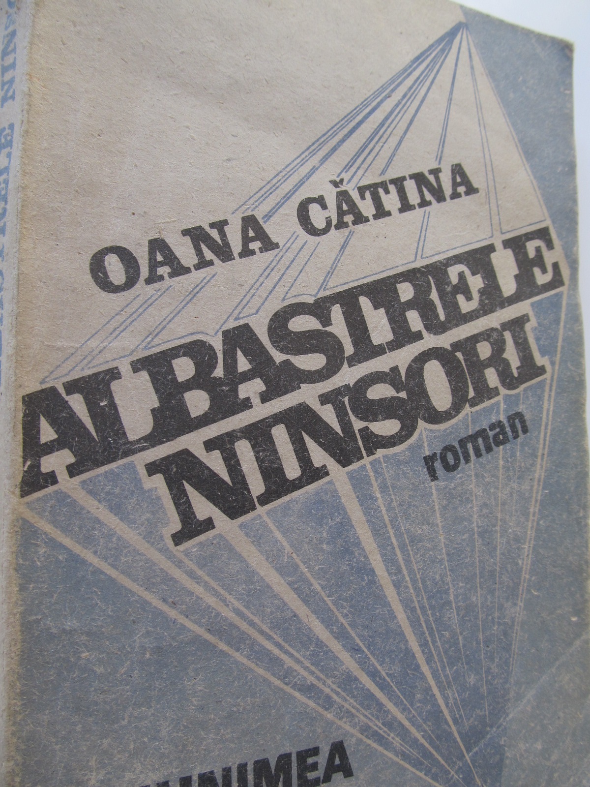 Albastrele ninsori - Oana Catina | Detalii carte