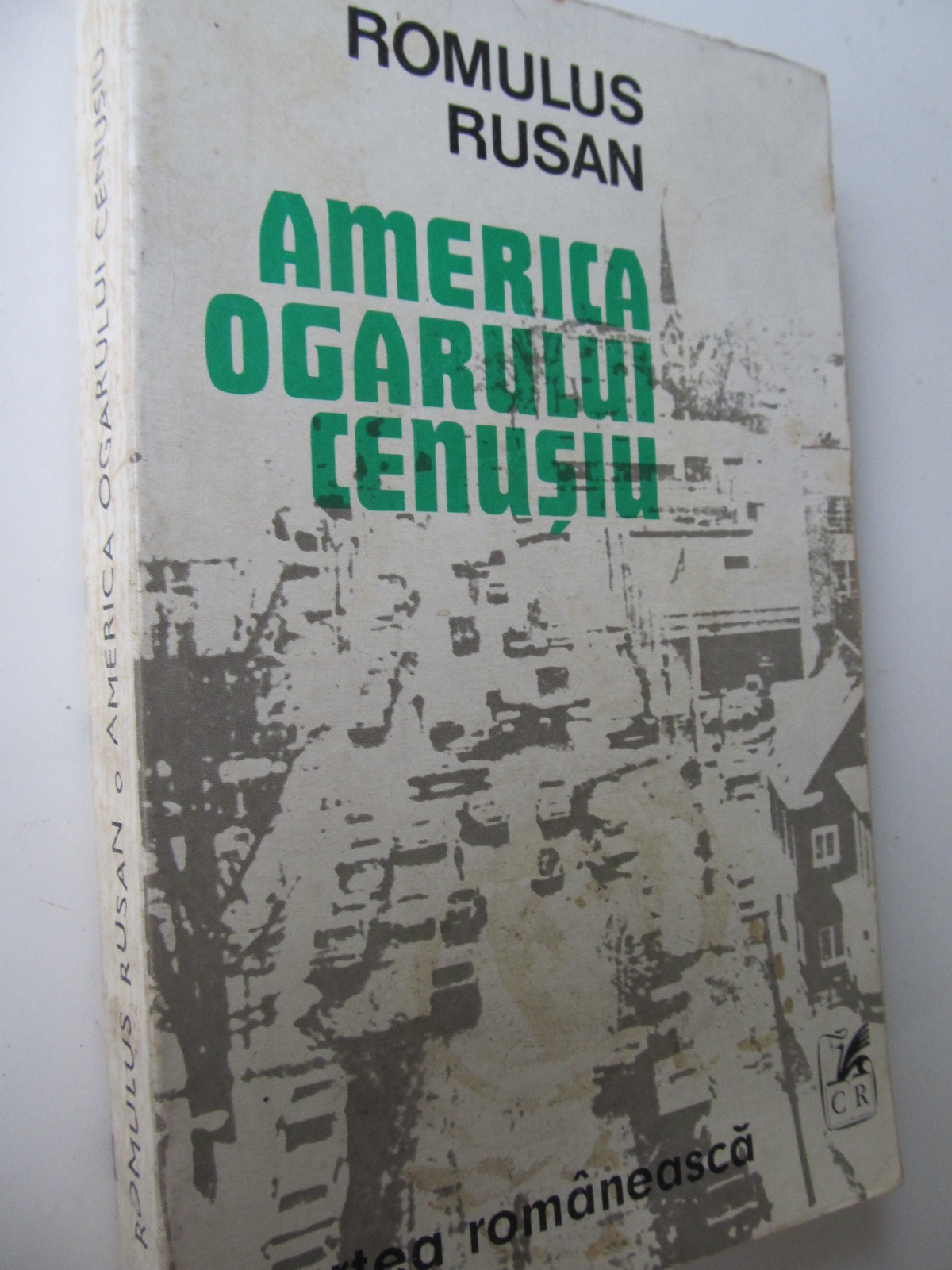 America ogarului cenusiu - Romus Ruslan | Detalii carte