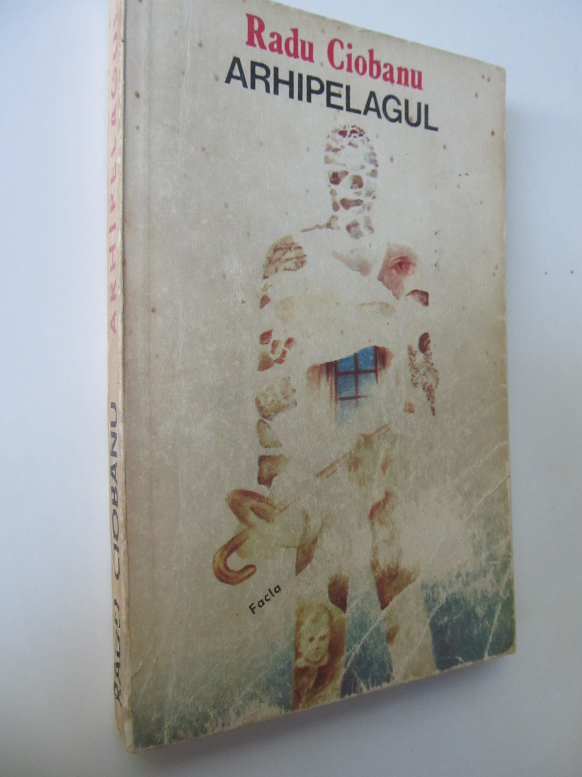 Arhipelagul - Radu Ciobanu | Detalii carte