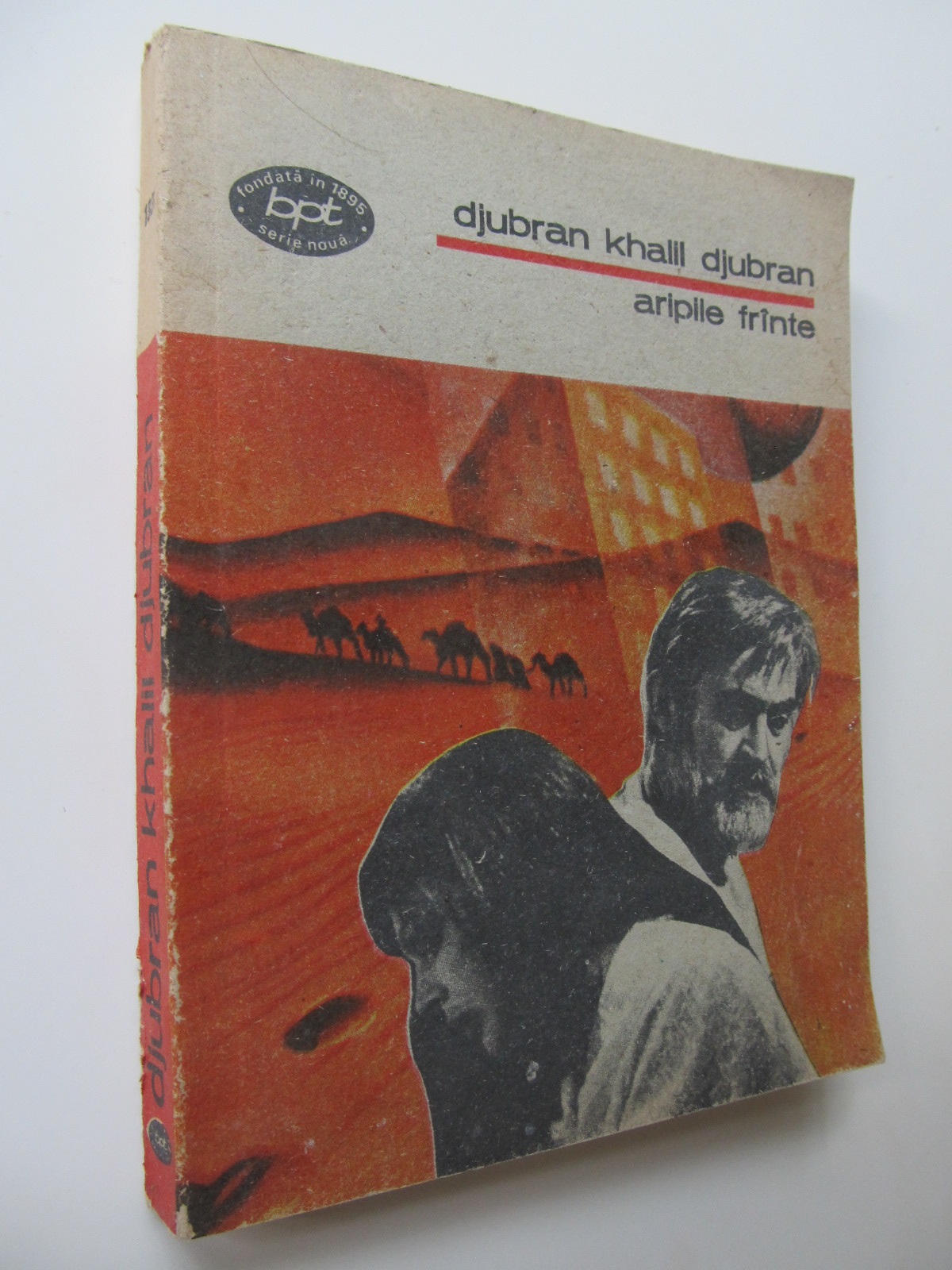 Aripile frante - Djubran Khalll Djubran | Detalii carte