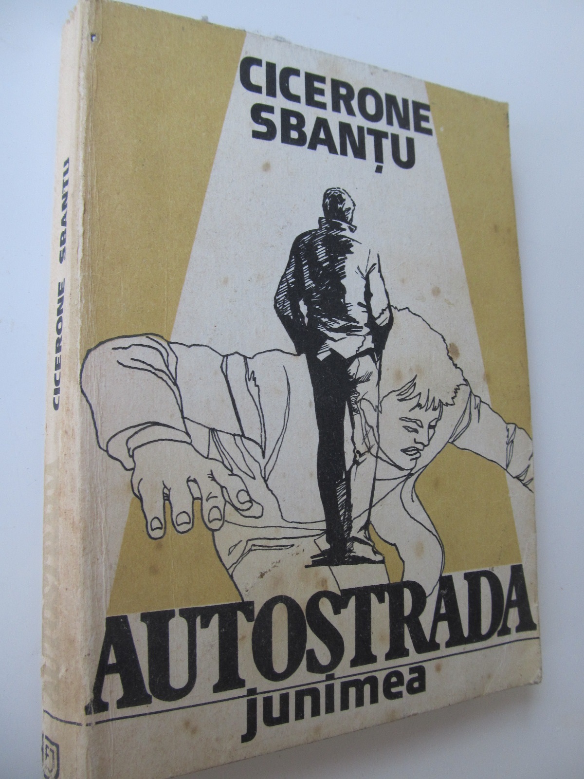 Autostrada - Cicerone Sbantu | Detalii carte