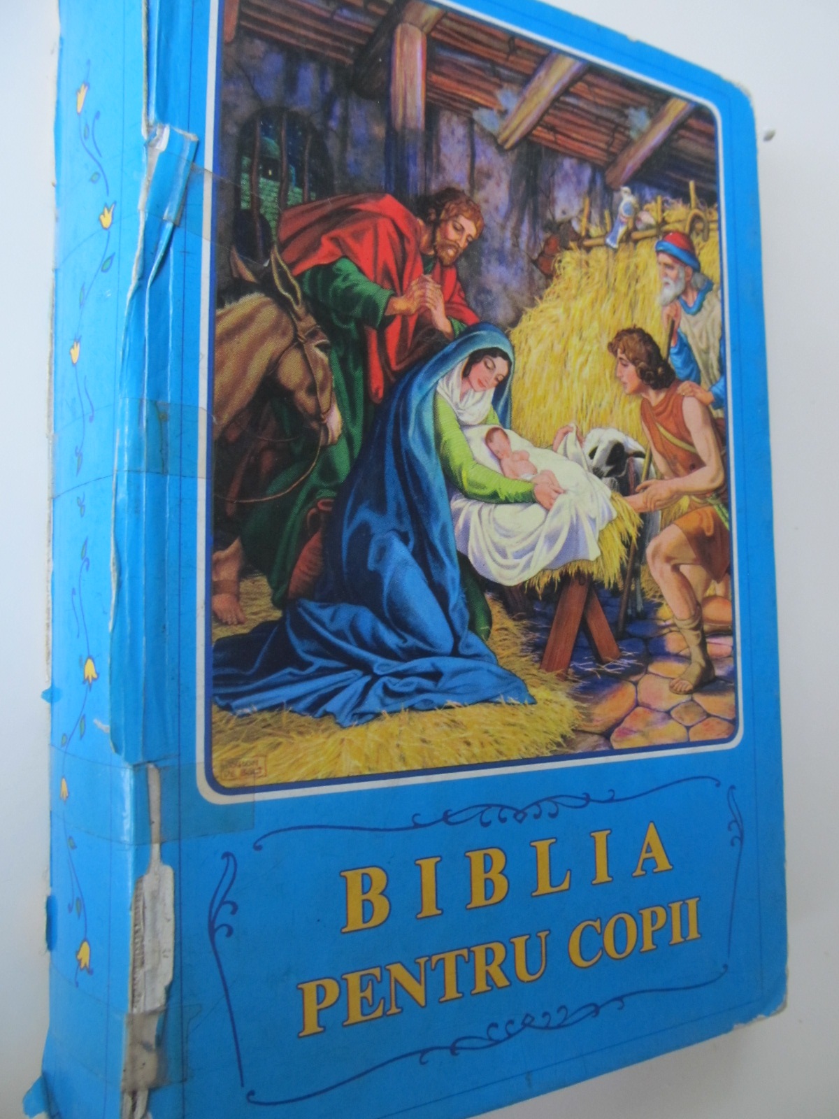 Biblia pentru copii - Borislav Arapovici , Vera Mattelmiki | Detalii carte