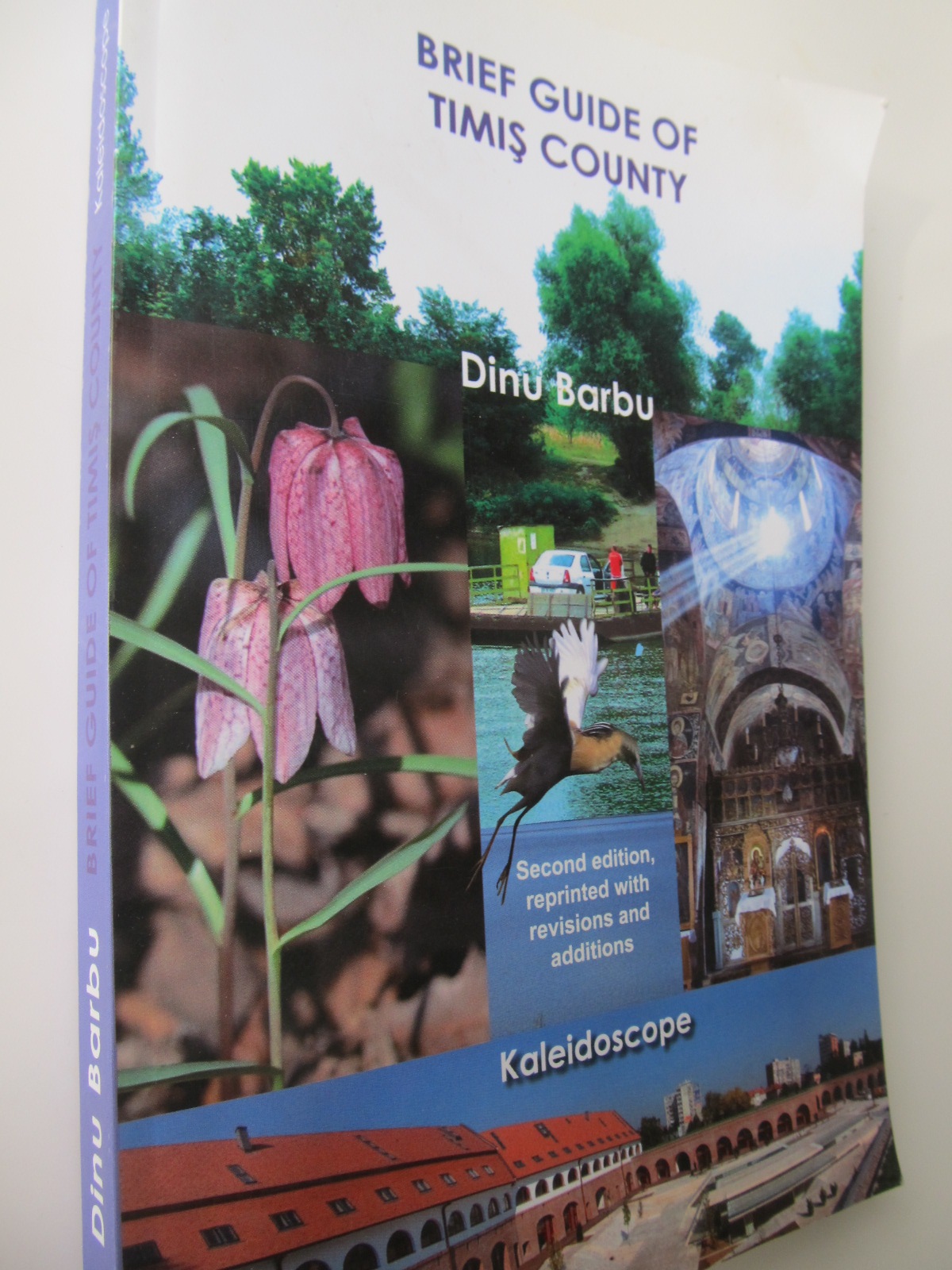 Brief guide of Timis County (Ghid judet Timis) - Dinu Barbu | Detalii carte